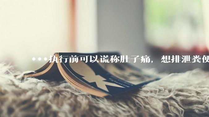 ***执行前可以谎称肚子痛，想排泄粪便，籍此拖延时间吗？