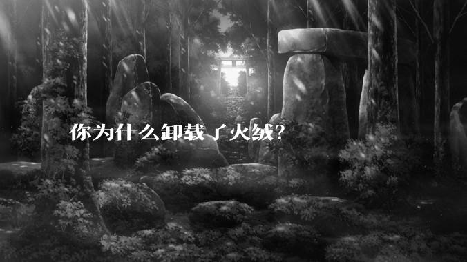 你为什么卸载了火绒？