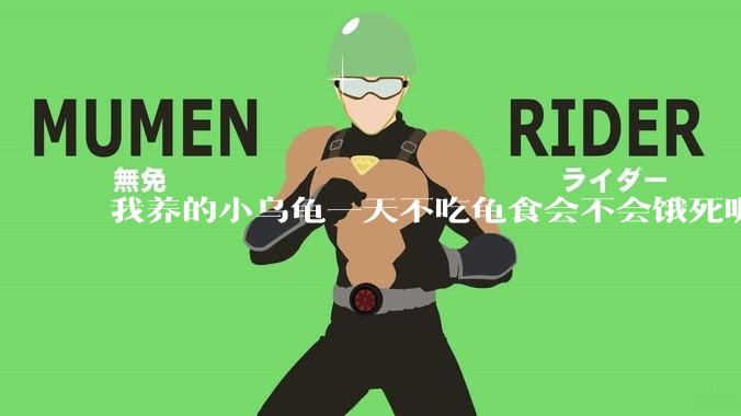 我养的小乌龟一天不吃龟食会不会饿死呢？
