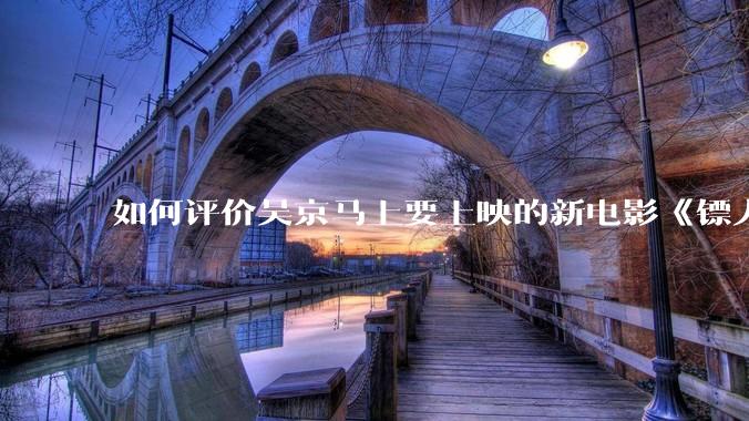 如何评价吴京马上要上映的新电影《镖人》？