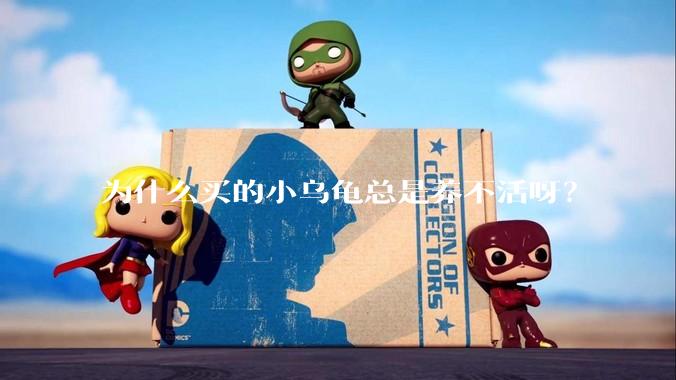 为什么买的小乌龟总是养不活呀？