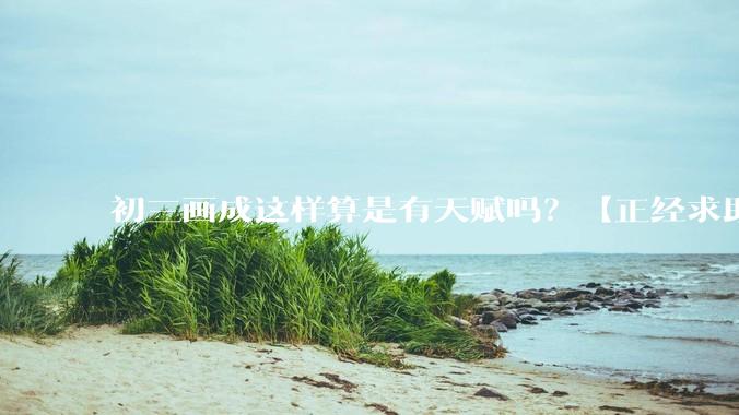 初三画成这样算是有天赋吗？【正经求助】?