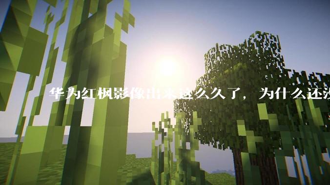 华为红枫影像出来这么久了，为什么还没有友商跟进？是不是说明这是一项可有可无的技术？