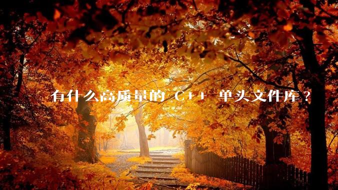 有什么高质量的 C++ 单头文件库?