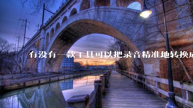 有没有一款工具可以把录音精准地转换成文字？