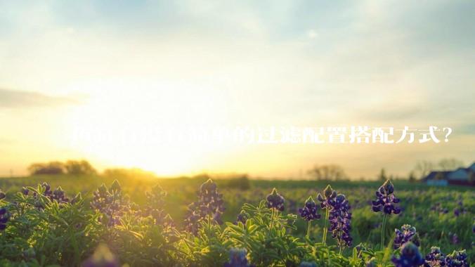 鱼缸有没有简单的过滤配置搭配方式？