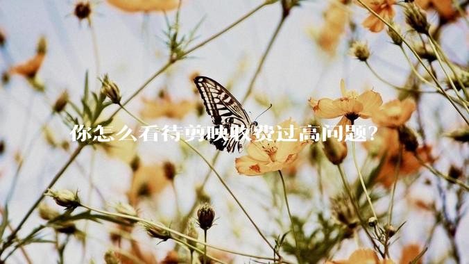 你怎么看待剪映收费过高问题？