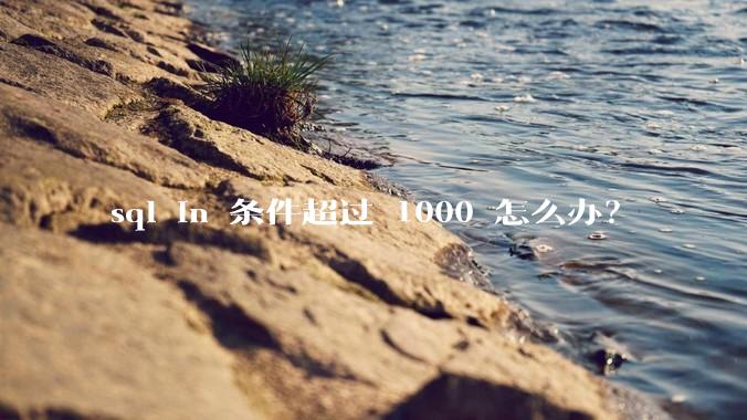 sql in 条件超过 1000 怎么办？